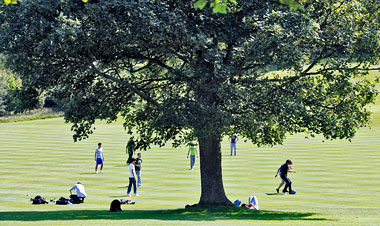 Studenti si rilassano nel parco a Edimburgo