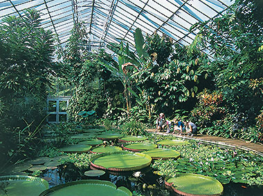 Visita ai giardini botanici di Edimburgo - Edinburgh School of English
