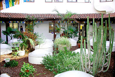 Il giardino della scuola di spagnolo don Quijote a Tenerife