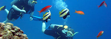 Corsi speciali di lingua spagnola e immersioni subaquee a Tenerife