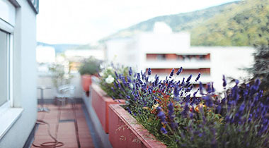 Il balcone della scuola OISE ad Heidelberg